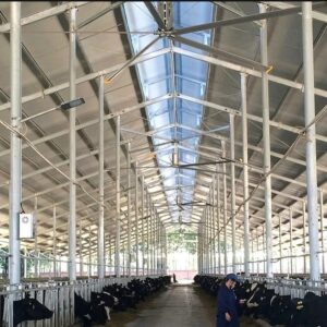 Quạt trần công nghiệp cánh dài Kale fans EURUS II