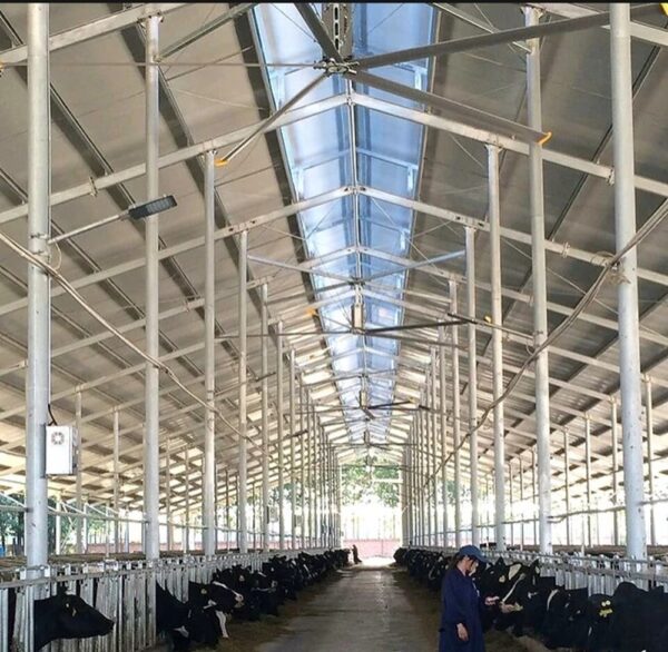 Quạt trần công nghiệp cánh dài Kale fans EURUS II 5 Quạt trần công nghiệp cánh dài Kale fans EURUS II