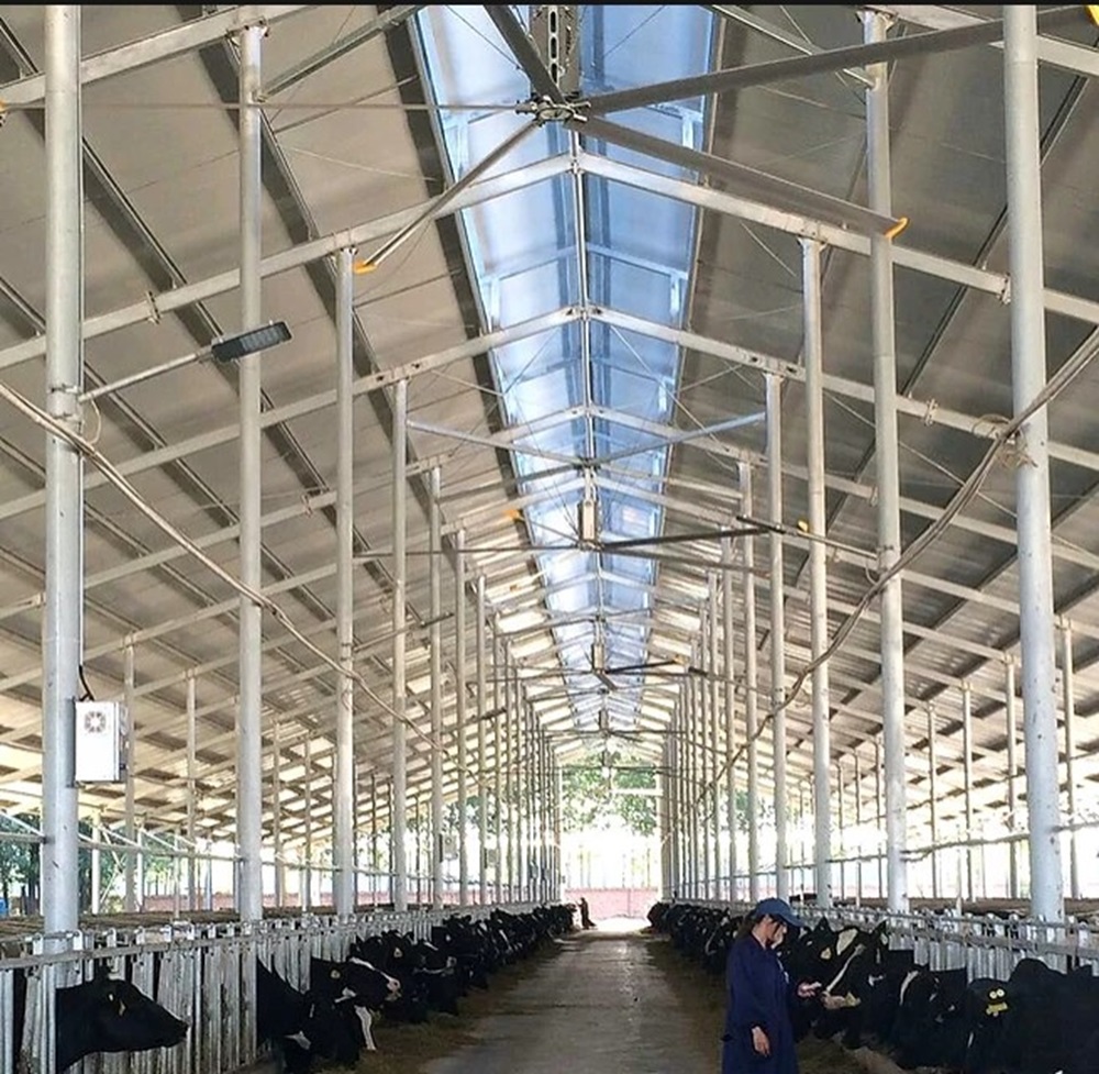 Quạt trần công nghiệp cánh dài Kale fans EURUS II 1 Quạt trần công nghiệp cánh dài Kale fans EURUS II