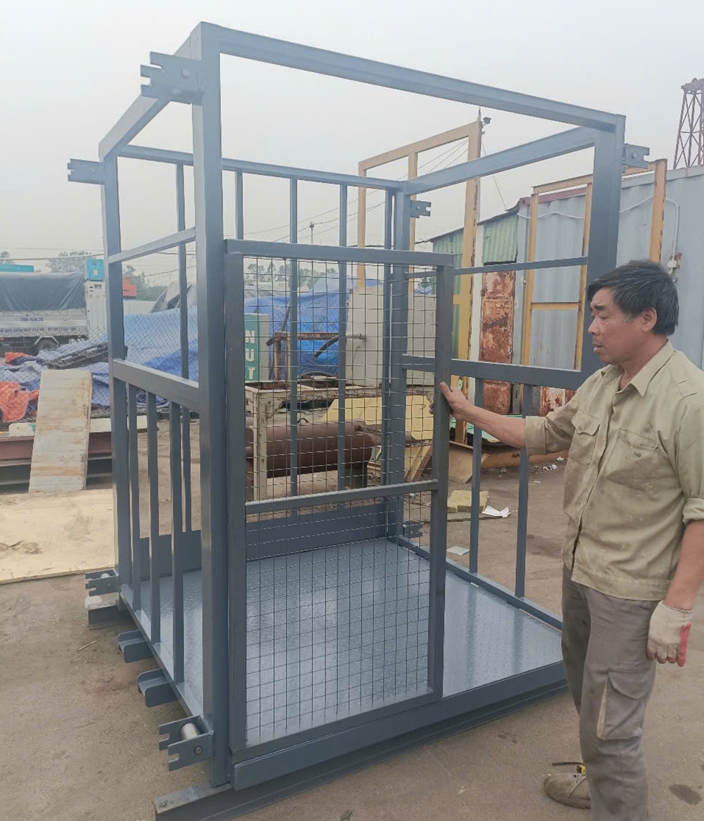 Thang nâng hàng - demo